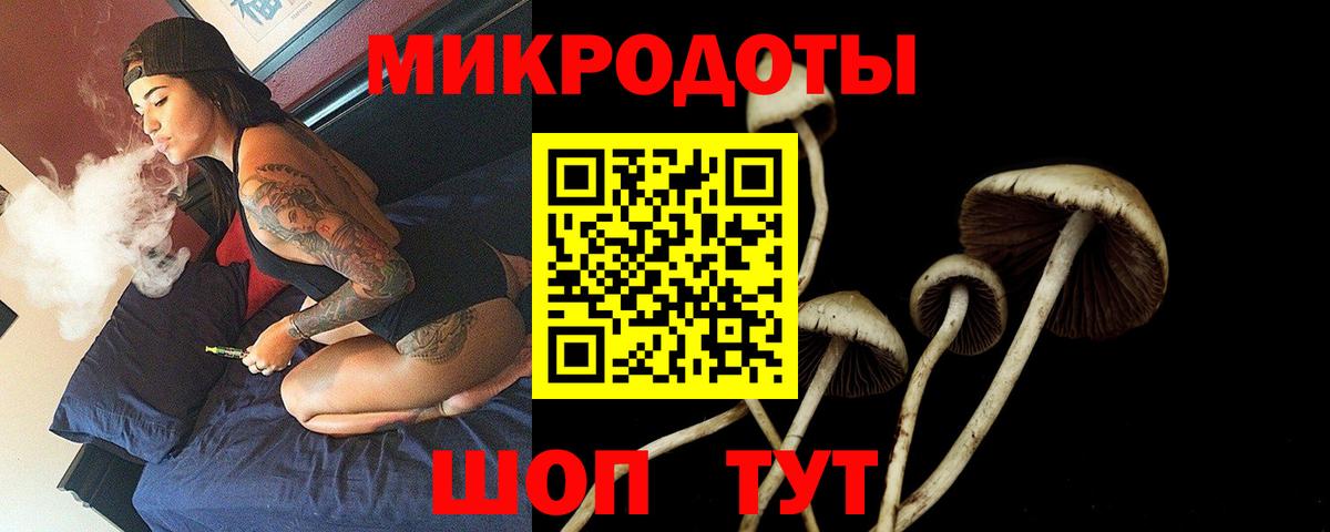 Галлюциногенные грибы Psilocybine cubensis Гусиноозёрск